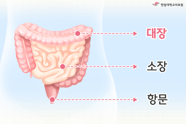 한국인, 대장암 발병률 세계 1위... 그 이유는?!